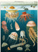 New for 2020- beautifully detailed scientific images of jellyfish that will compliment any room as a wall hanging. 
