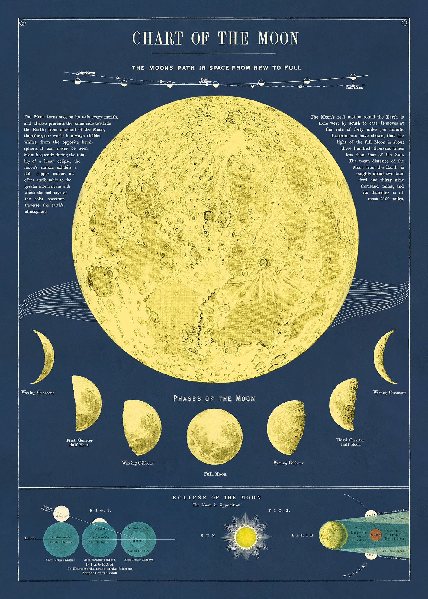 Cavallini & Co. Moon Chart Decorative Paper — Two Hands Paperie