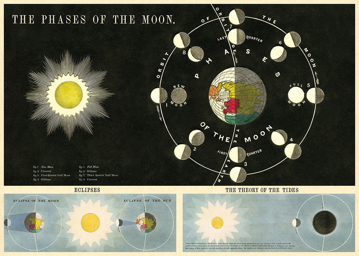 Cavallini Phases of the Moon Decorative Wrap features a vintage drawing of the moon's phases. 