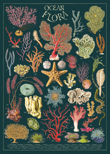 Cavallini & Co. Ocean Flora Decorative Paper
