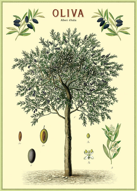 Cavallini & Co. Olive Tree Decorative Paper