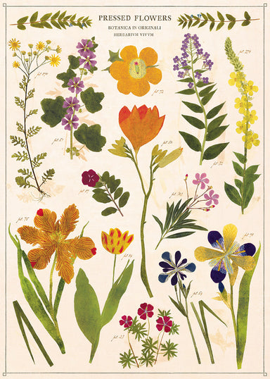 Cavallini & Co. Pressed Flowers Decorative Paper