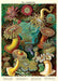 Cavallini & Co. Sea Anemones Decorative Wrap