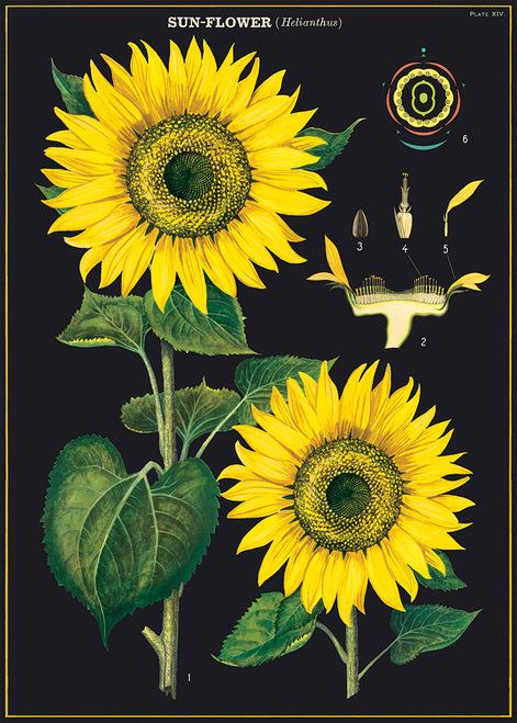 Cavallini & Co. Sunflower Decorative Paper