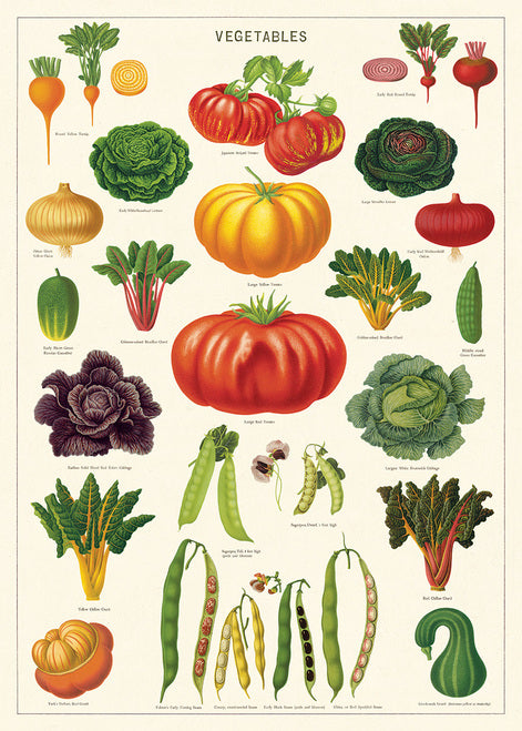 Cavallini & Co. Vegetable Garden Decorative Paper