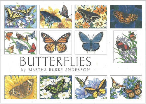 Crane Creek Graphics Butterflies Notecard Folio- set of 12 cards and envelopes