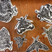 Block Printing – Celebrating Pollinators class samples of printed paper moths