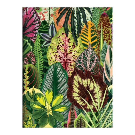 Houseplant Jungle Greeting Assortment Notecards