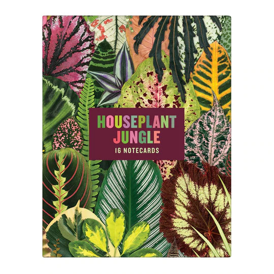 Houseplant Jungle Greeting Assortment Notecards