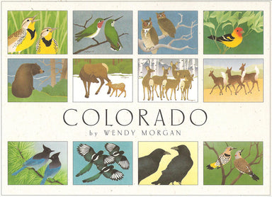 Crane Creek Graphics Colorado notecard folio features lively and bright forest creatures from the Colorado mountains. Inside you will find meadowlarks, hummingbirds, tanagers, bear, deer, and still more birds.