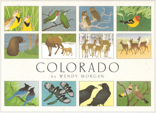 Crane Creek Graphics Colorado Notecard Folio- set of 12 cards and envelopes