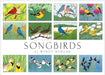 Crane Creek Graphics Songbirds notecard folio features colorful and bright images of some of our favorite birds. Inside you will find cardinals, buntings, bluebirds, goldfinches, warblers, and chickadees.