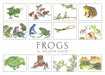 Crane Creek Graphics Frogs in the set include the rainforest tree frog, poison arrow frog, american bullfrog, horned frog, and singing frog, plus more. 