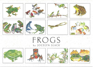 Crane Creek Graphics Frogs in the set include the rainforest tree frog, poison arrow frog, american bullfrog, horned frog, and singing frog, plus more. 