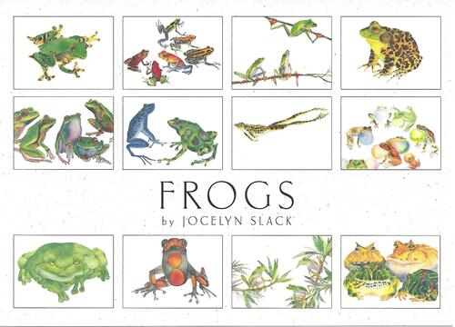 Crane Creek Graphics Frogs Notecard Folio- set of 12 cards and envelopes