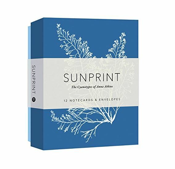 Sunprint Notecard set contains 12 folded notecards and envelopes. Twelve different all-occasion notecards, reproductions of vintage cyanotypes by Victorian botanist Anna Atkins.